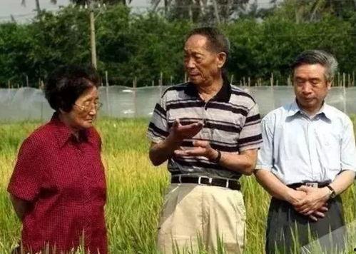 吃瓜i寡王,网络红人的崛起与影响力