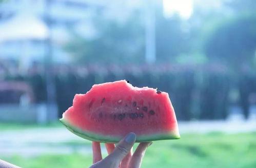 安静吃瓜动漫,漫享动漫时光