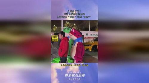 青蛙在路边吃瓜,夏日趣味瞬间