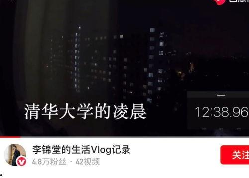 吃瓜大事vlog视频,揭秘娱乐圈幕后故事