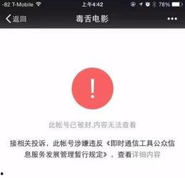 吃瓜文集公众号,带你领略娱乐圈的幕后故事