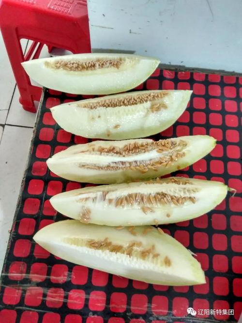 吃瓜带皮,揭秘娱乐圈那些不为人知的幕后故事