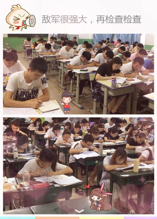 班级的吃瓜瞬间,欢乐时光里的温馨回忆