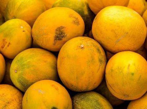 梦见吃瓜藤上瓜