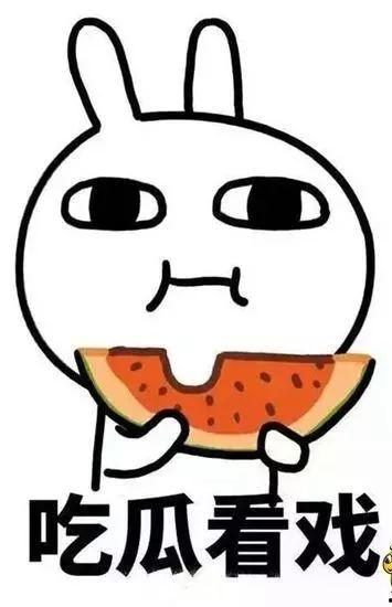 吃瓜事件真实原因,一场精心策划的舆论战