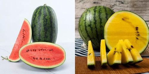 9169吃瓜网站,热门话题背后的真相与笑料