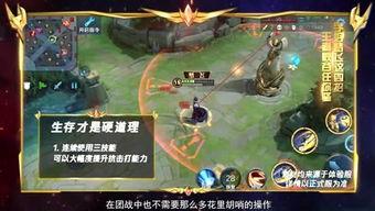 峡谷吃瓜团赵云