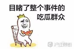 吃瓜群众使用示例,网络时代的围观力量