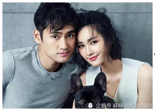 吃瓜拍同框,欢乐瞬间尽收眼底