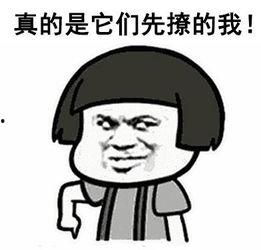 把吃瓜变成思考,揭秘网络舆论的真相与影响