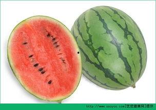 过敏吃瓜,吃瓜指南