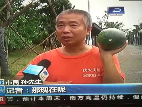 网络吃瓜热点事件,揭秘近期爆红吃瓜事件背后的真相