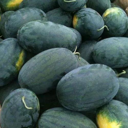 农村吃瓜宝娟,揭秘农村生活里的欢乐与智慧