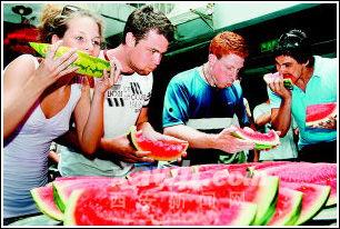 老外谈吃瓜,揭秘全球网民的娱乐盛宴