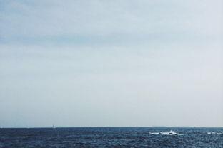 青岛海边吃瓜,尽享夏日风情