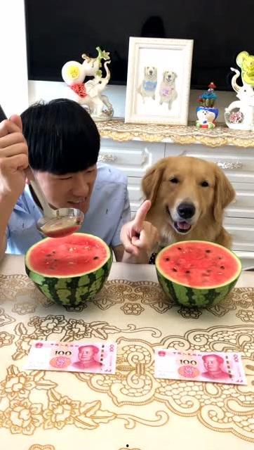 主人吃瓜视频大全,吃瓜达人必看！盘点全网热门吃瓜视频大全