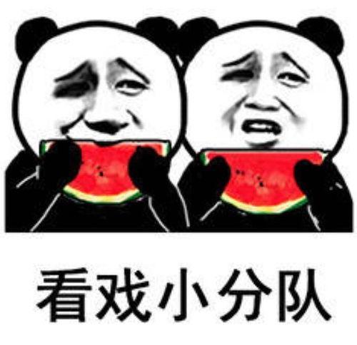 帅气吃瓜表情包