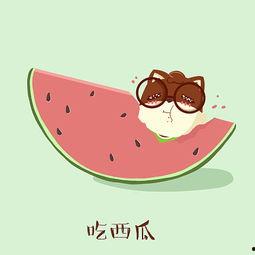 松鼠吃瓜表情,萌态百出，趣味横生