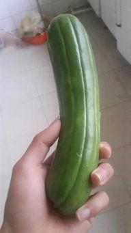 客家人吃的生吃瓜是什么瓜,生吃瓜的独特风味之谜