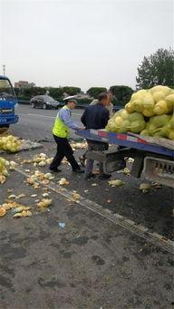 土车瓜怎么吃,解锁美味新体验