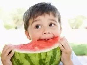 工作和吃瓜,揭秘工作与吃瓜的趣味人生