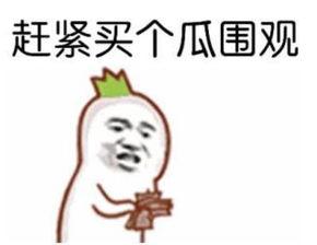 叫女生媳妇她回吃瓜表情,媳妇吃瓜表情背后的甜蜜互动