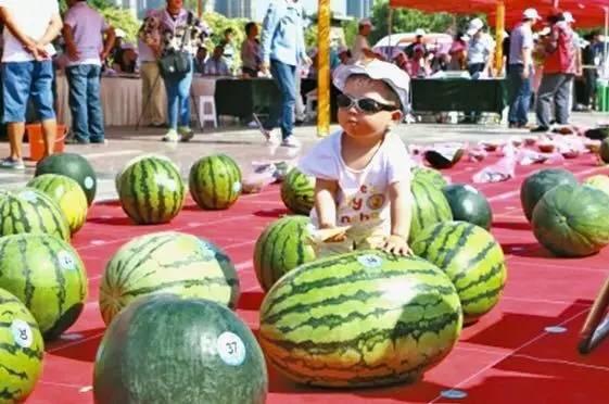 华丰汇吃瓜大赛,一场舌尖上的狂欢盛宴