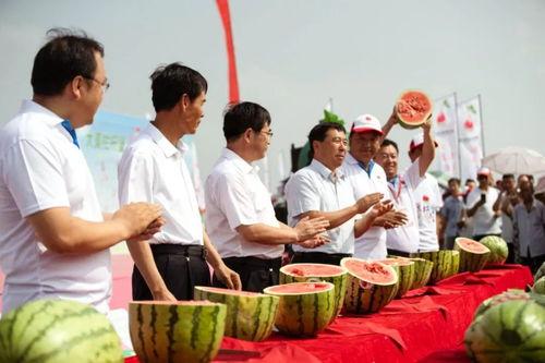 吃瓜爆料栏杆,吃瓜爆料栏杆背后的惊人真相