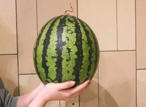 杭州吃瓜的地方,寻味吃瓜胜地攻略